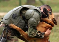 Saint Roch, Patron Saint of the Dog Units